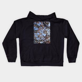 Grape leaf vine in akrotiri Kids Hoodie